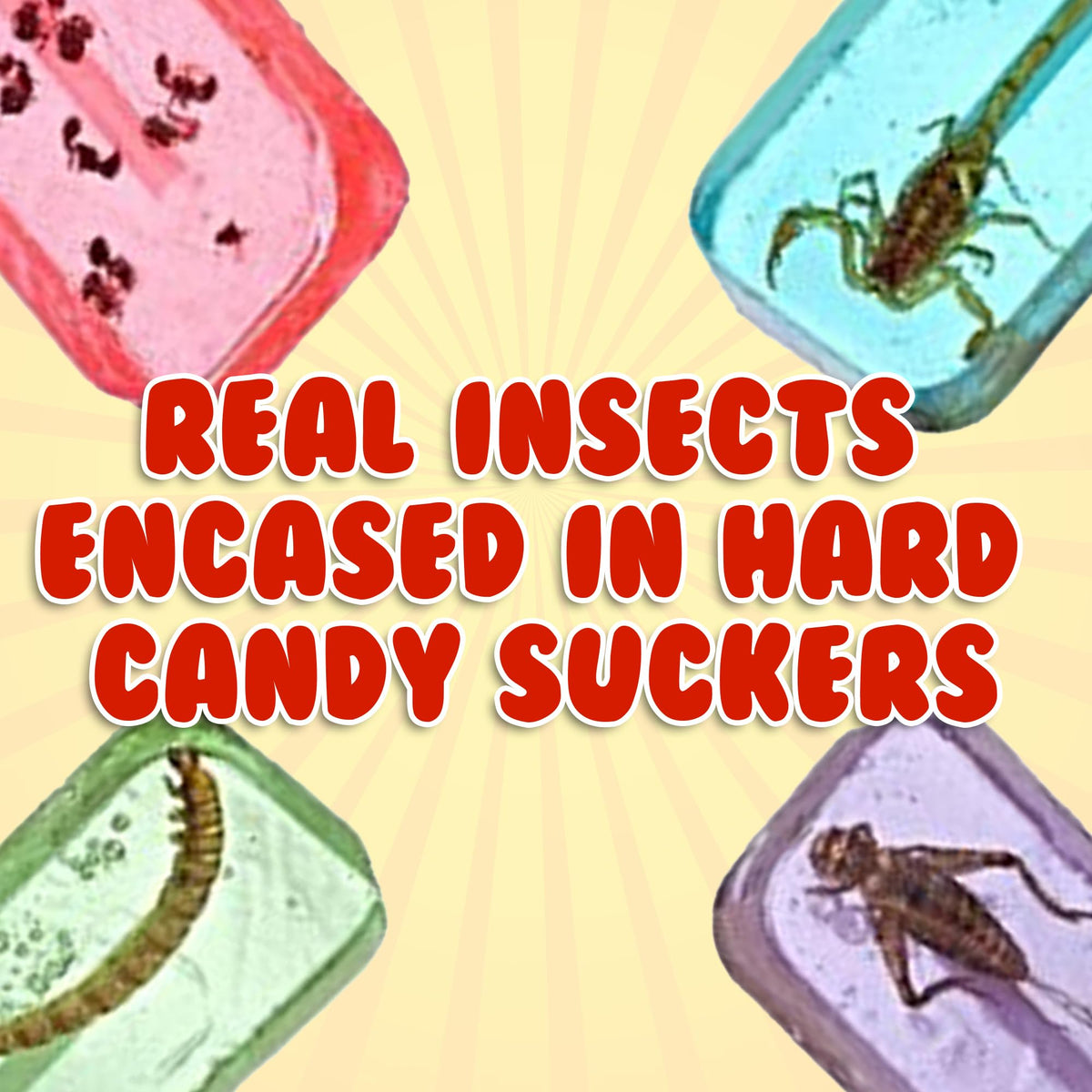 Jerky-n-Spice HotLix Insect Suckers (8-Pack) – Edible Bug Candy Lollipops