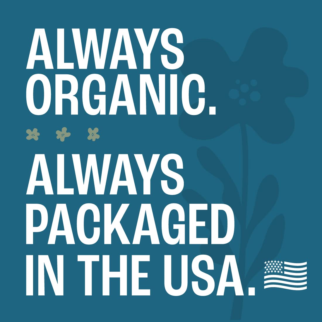 J Mac Botanicals Organic Lemon Balm Tea (16 oz) – Loose Leaf, USDA Organic