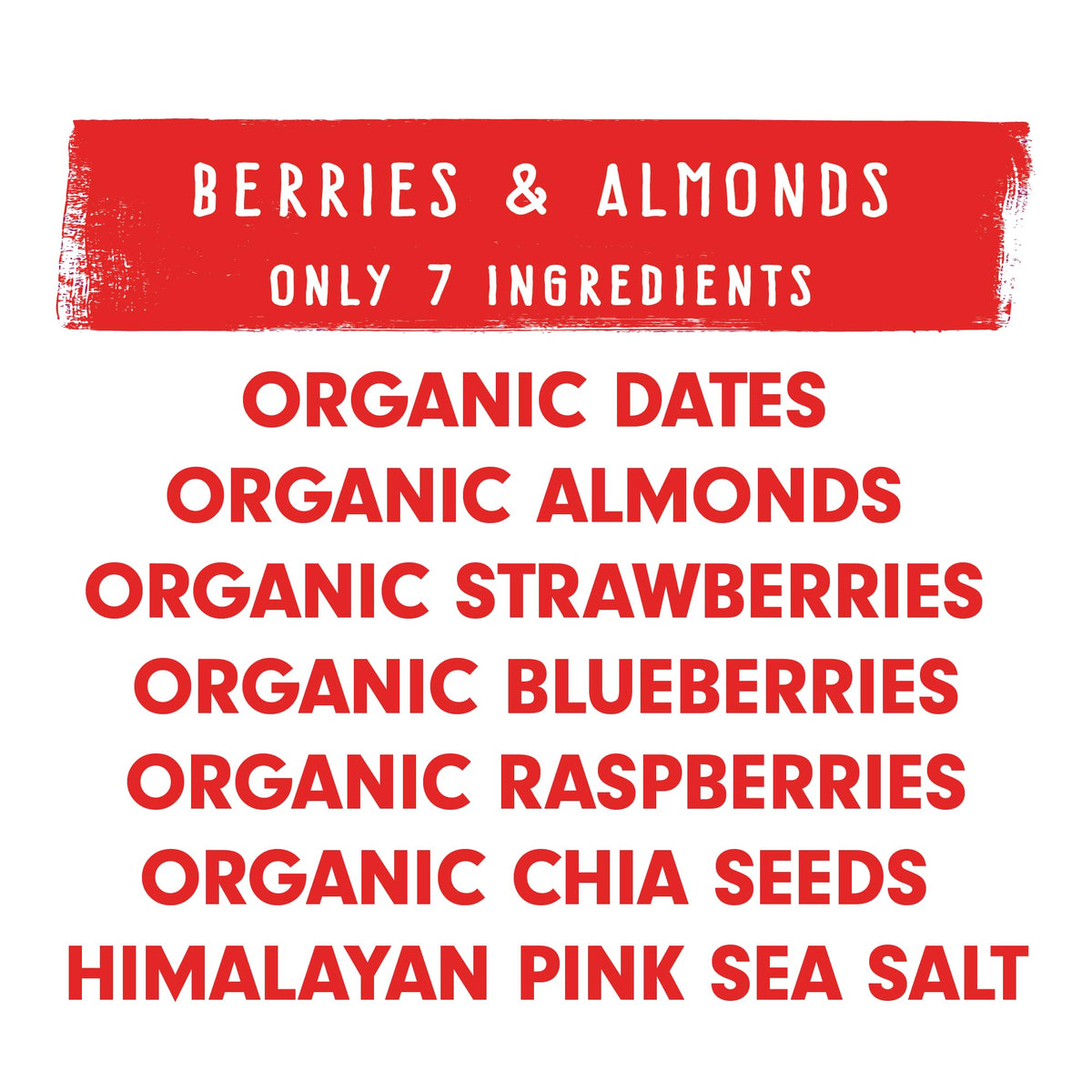 JONESBAR Organic Plant Based Protein Bars Berries & Almonds Pack of 12 | Gluten Free Kosher Vegan Snack