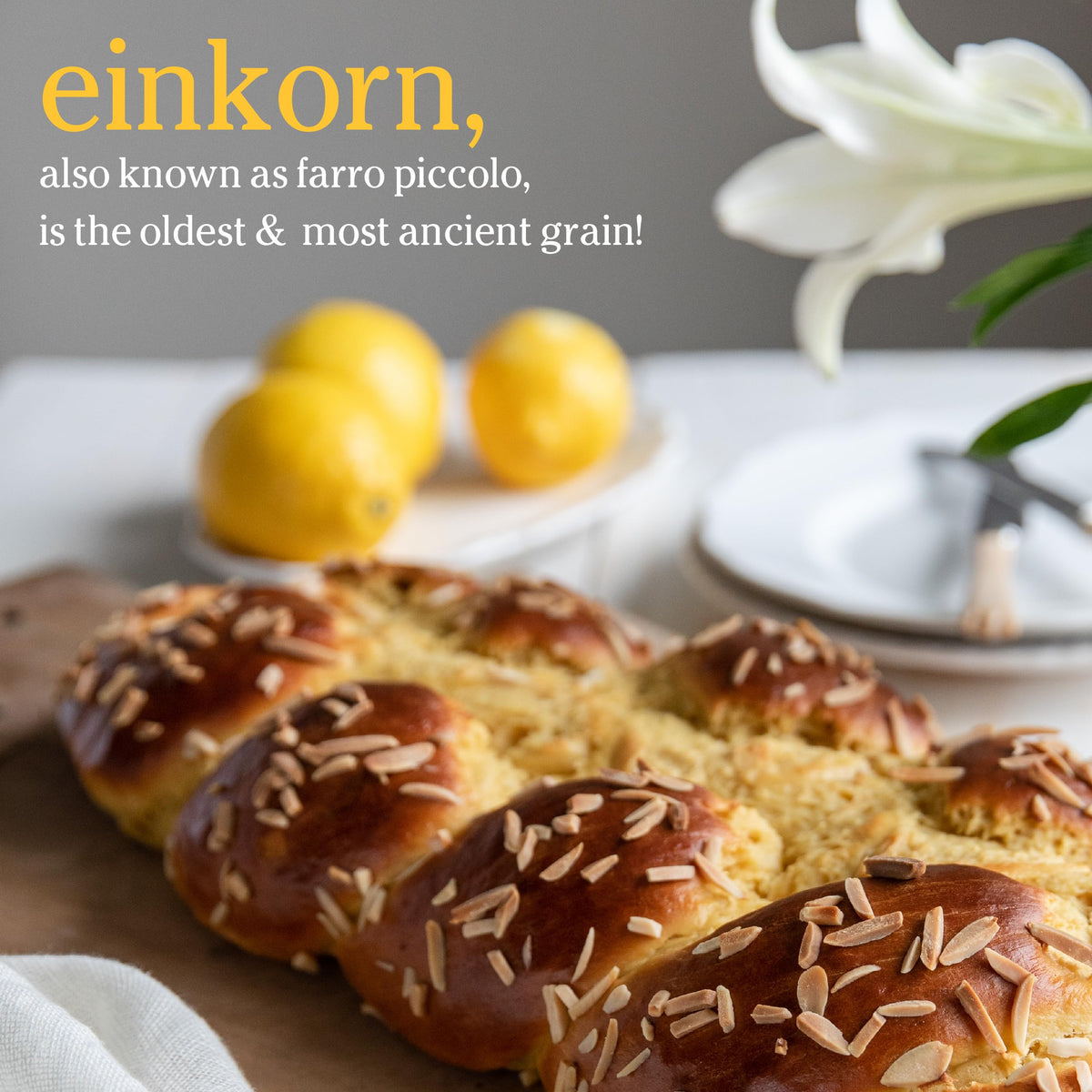 Jovial Einkorn 100% Organic Wheat Berries – 16 oz x 3 Pack, Non-GMO, Product of Italy