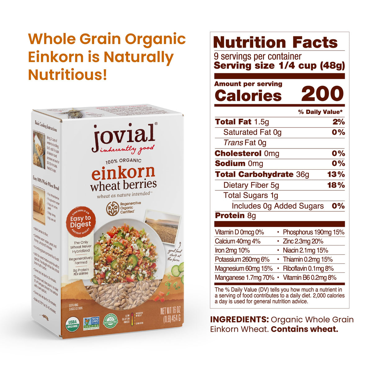 Jovial Einkorn 100% Organic Wheat Berries – 16 oz x 3 Pack, Non-GMO, Product of Italy