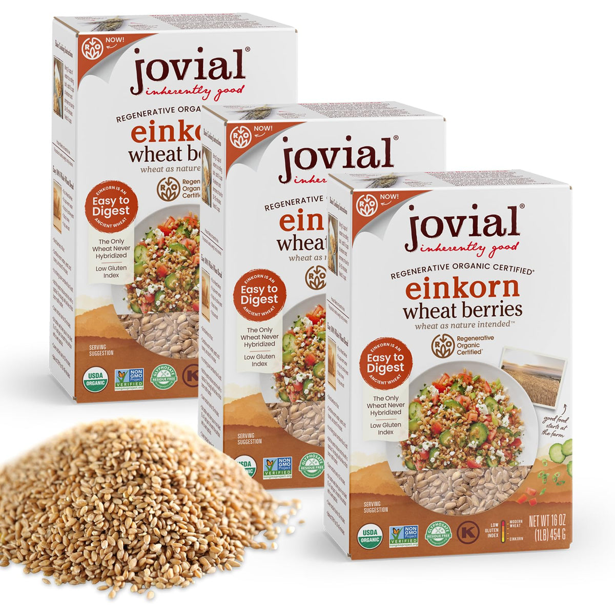 Jovial Einkorn 100% Organic Wheat Berries – 16 oz x 3 Pack, Non-GMO, Product of Italy