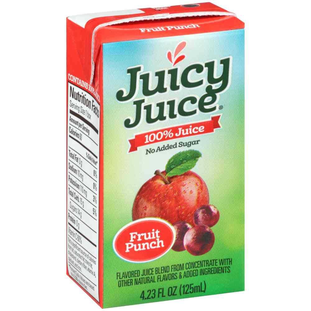 Juicy Juice 100 Percent Fruit Punch – 4.23 fl oz Bottles, 40-Count Case