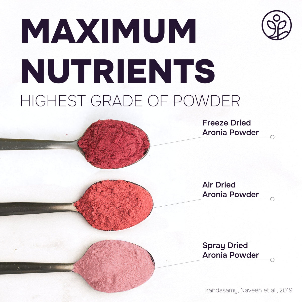Jungle Powders Organic Aronia Berry Powder – 5 oz Freeze-Dried Chokeberry, Immune Support & Antioxidants (Vegan & Gluten Free)