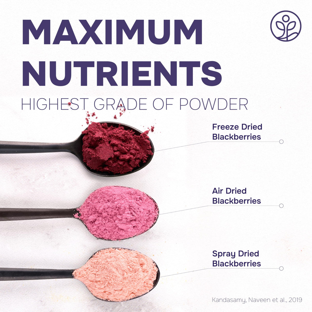 Jungle Powders Organic Blackberry Powder – Freeze-Dried, USDA & EU Certified
