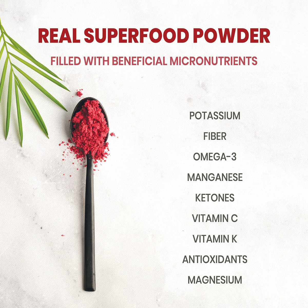 Jungle Powders Freeze Dried Raspberry Powder 7 oz – Unsweetened Red Berry Powder for Baking