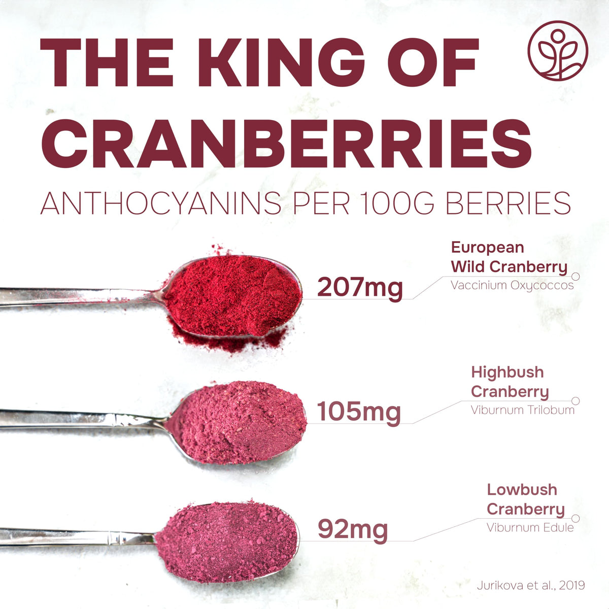 Jungle Powders Wild Cranberry Powder Organic — 5 oz Freeze-Dried Cranberries for Baking, Smoothies & Flavoring