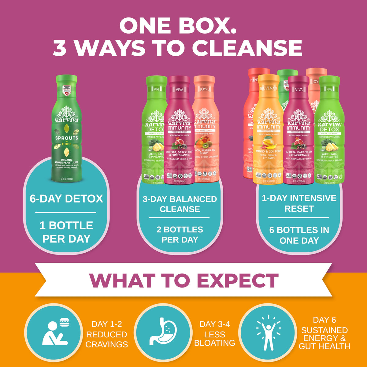 Karviva Organic Juice Cleanse Pack — Gentle 6-Bottle Detox
