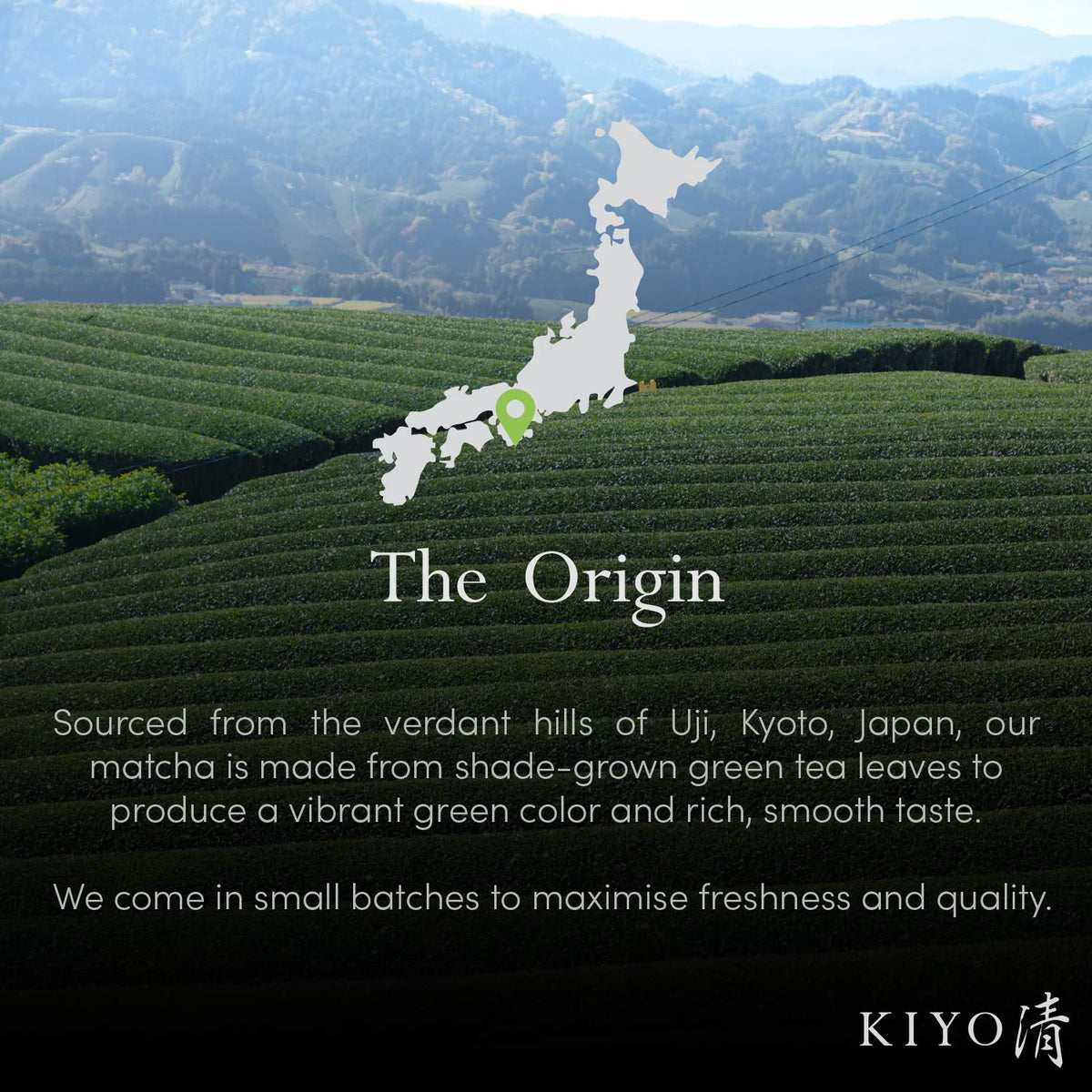 Kiyo Matcha Signature Grade Shuga Ceremonial Uji Matcha – Pure Japanese First Harvest (40g)