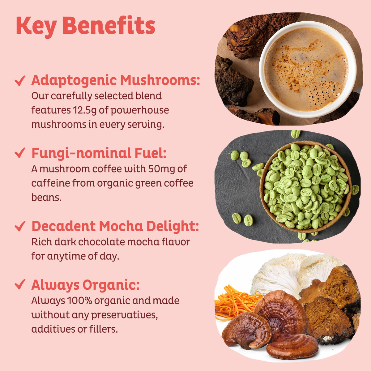 KOS Mushroom Coffee – USDA Organic Dark Chocolate Mocha with Reishi, Cordyceps, Lion’s Mane & Chaga