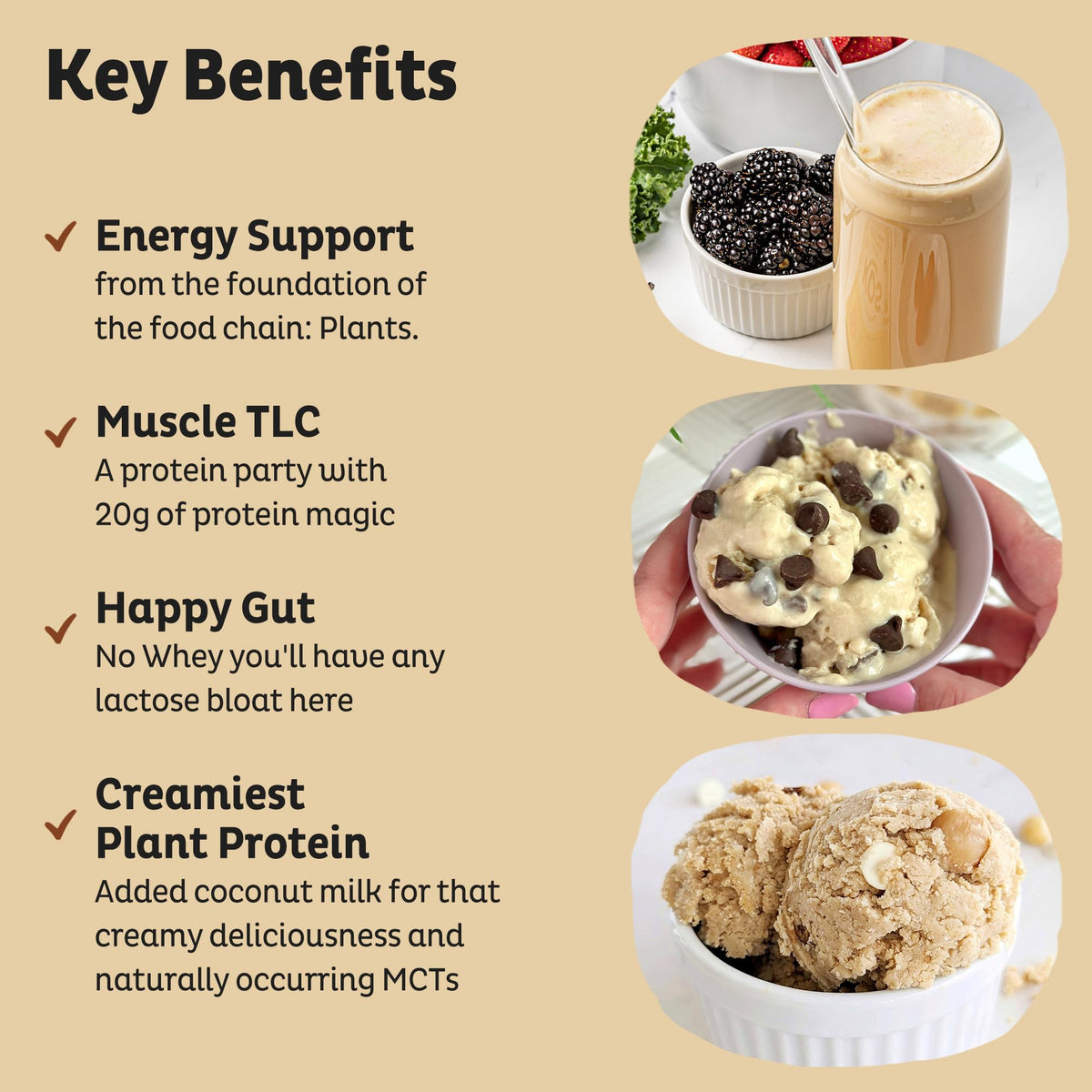 KOS Vegan Protein Powder Erythritol Free, Vanilla – USDA Organic Pea Protein Blend, 15 Servings