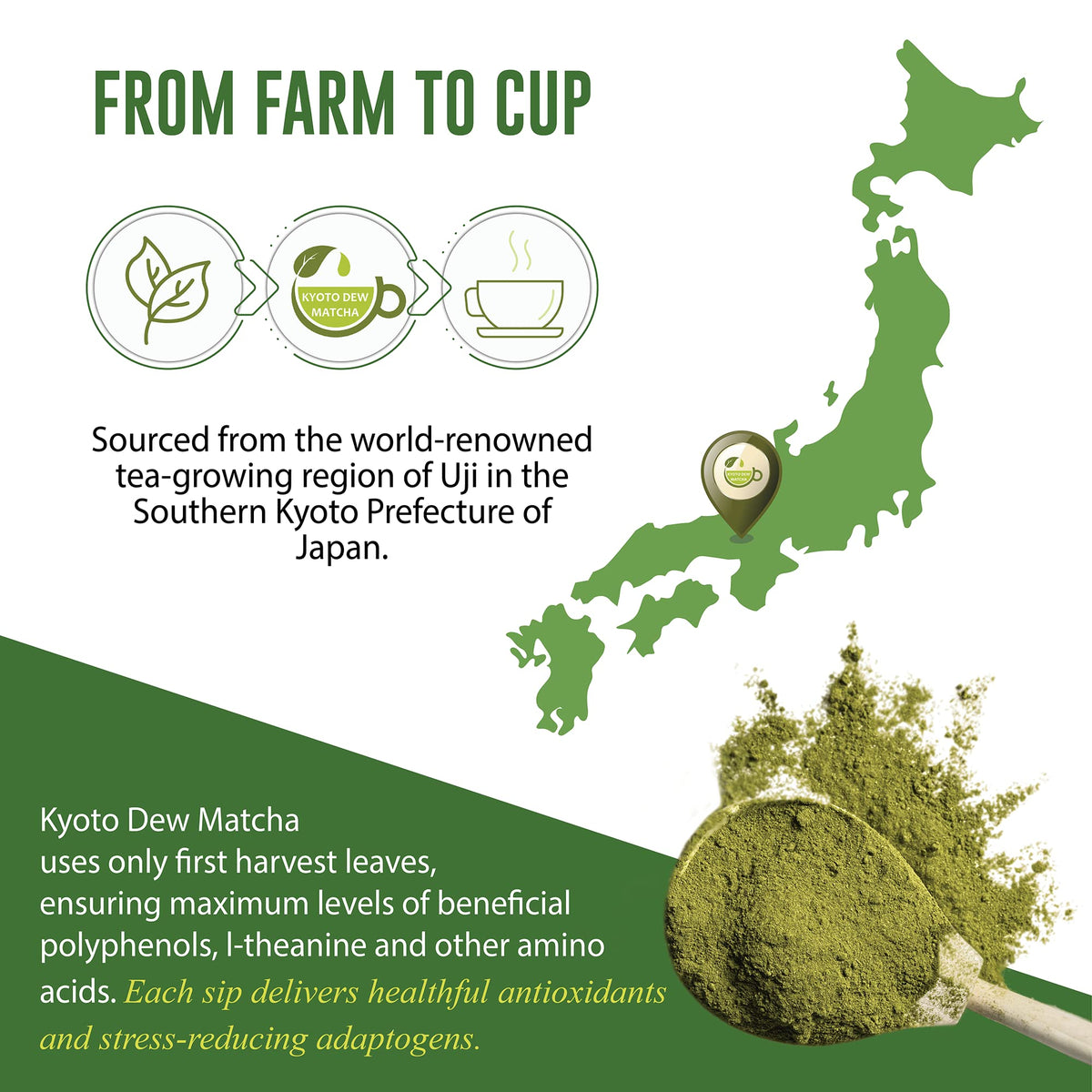 Kyoto Dew Matcha - Ceremonial Blend from Uji, Organic First Harvest (30g / 1oz)