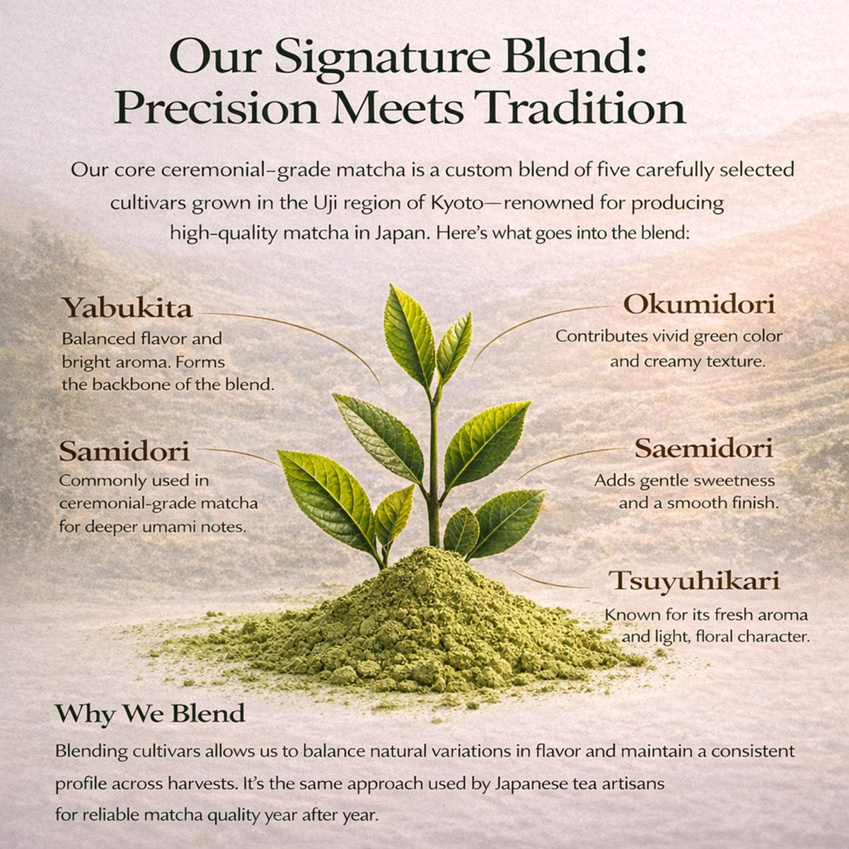 Kyoto Dew Matcha - Ceremonial Blend from Uji, Organic First Harvest (30g / 1oz)