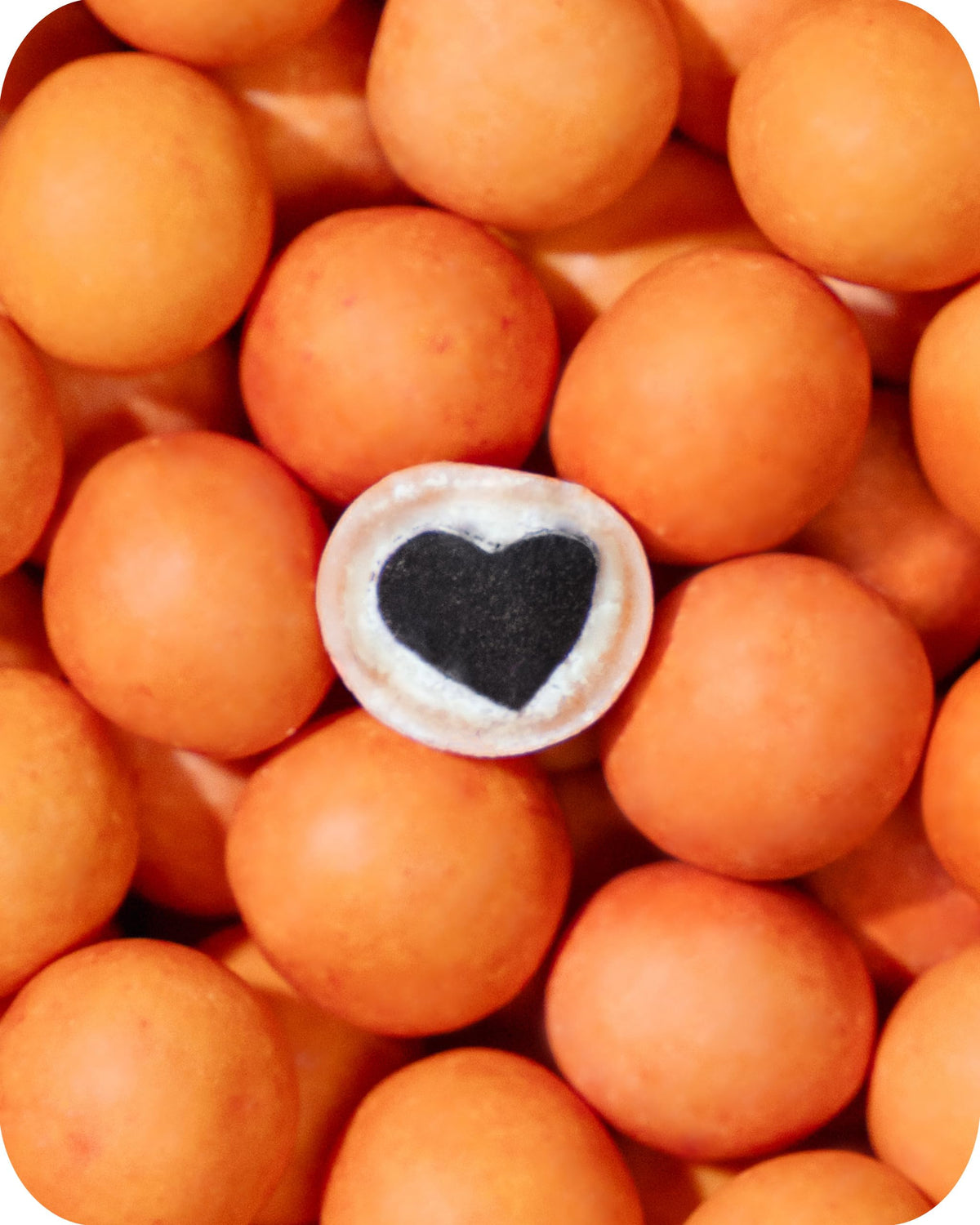 LAKRIDS BY BÜLOW Peaches – White Chocolate Coated Peach Licorice, 10.4 oz