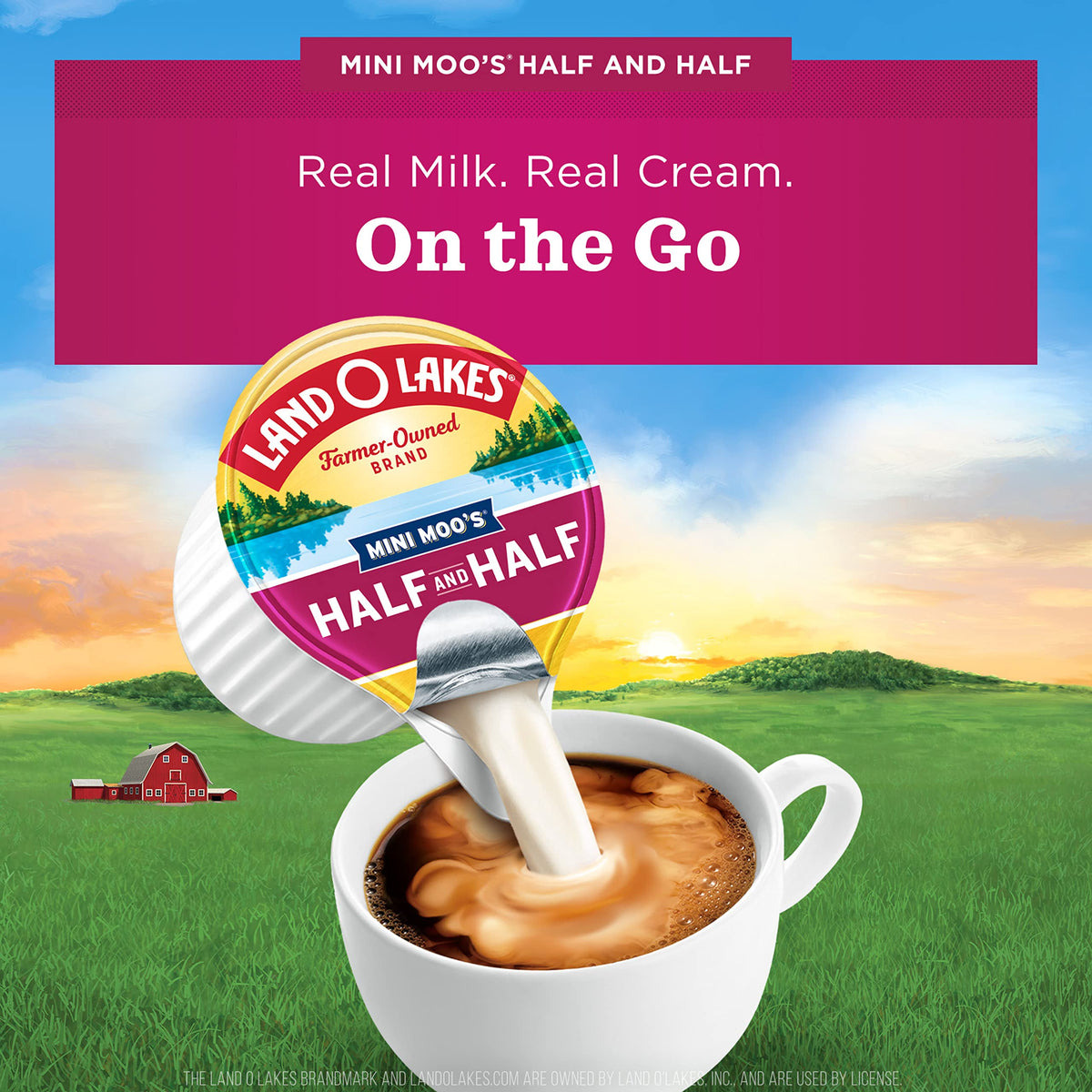 Land O Lakes Mini Moo’s Half & Half Creamer Singles – Shelf-Stable, 24 Count (Pack of 6)