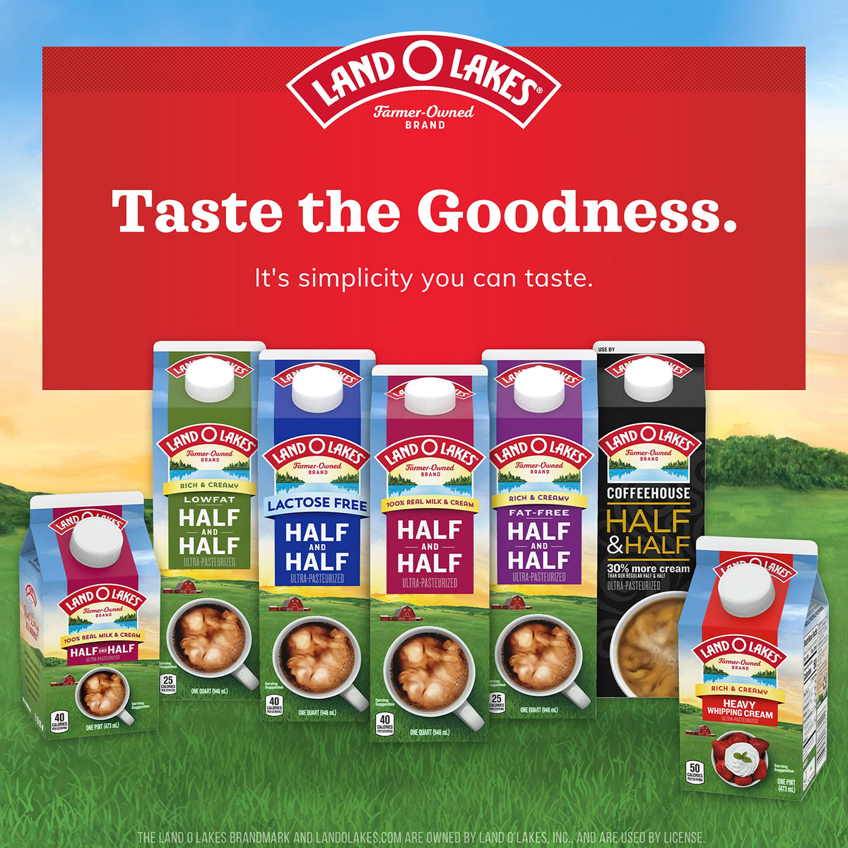 Land O Lakes Mini Moo’s Half & Half Creamer Singles – Shelf-Stable, 24 Count (Pack of 6)
