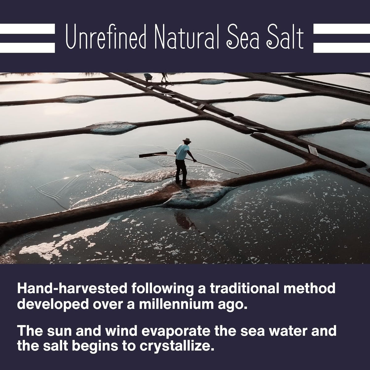 Le Marinier Celtic Salt Organic Extra Fine 1.1lb – 2-Pack | Unrefined French Sea Salt with 82+ Trace Minerals