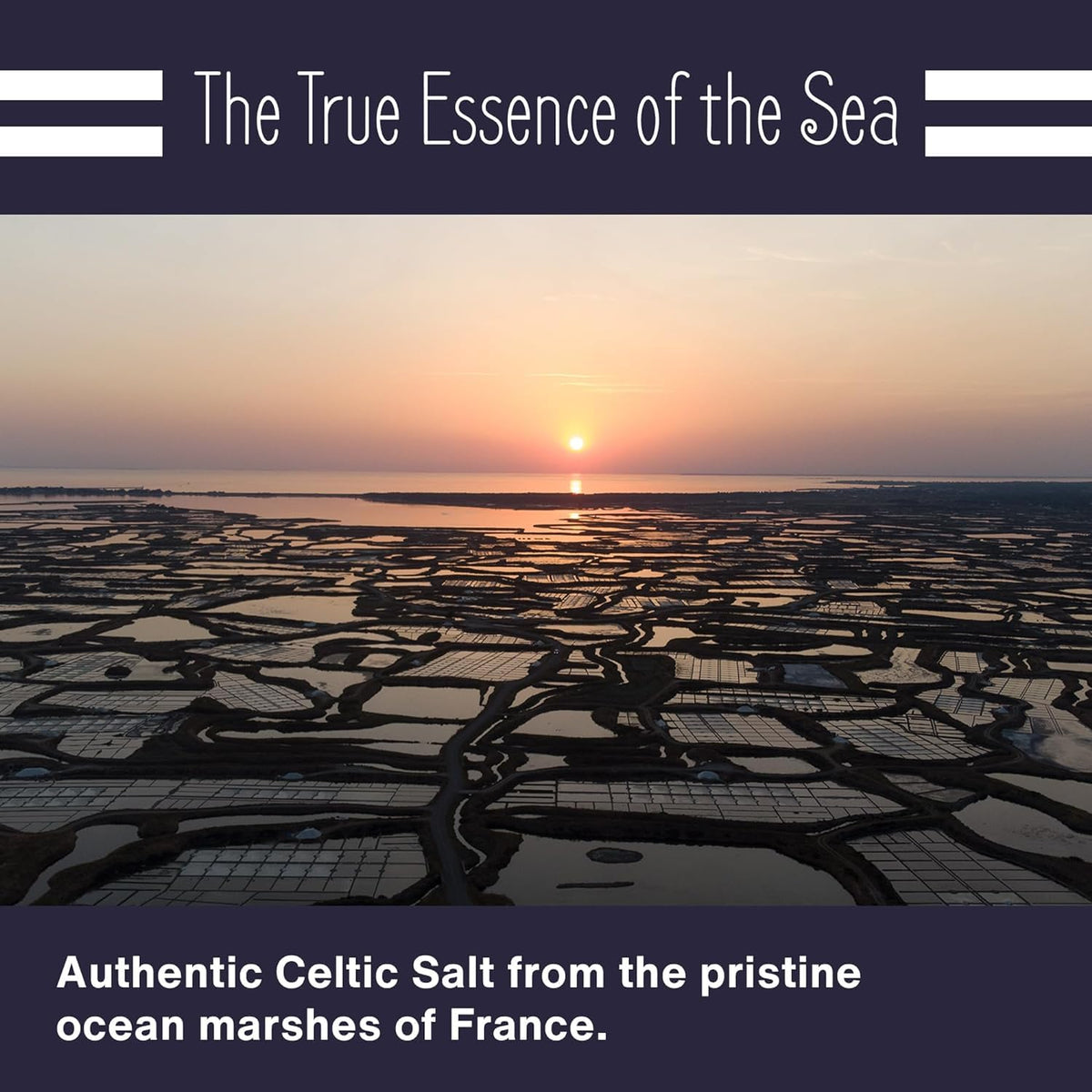 LE MARINIER Celtic Salt Organic Fine Ground 1.1 lb Pack of 2 | Mineral-Rich French Sea Salt