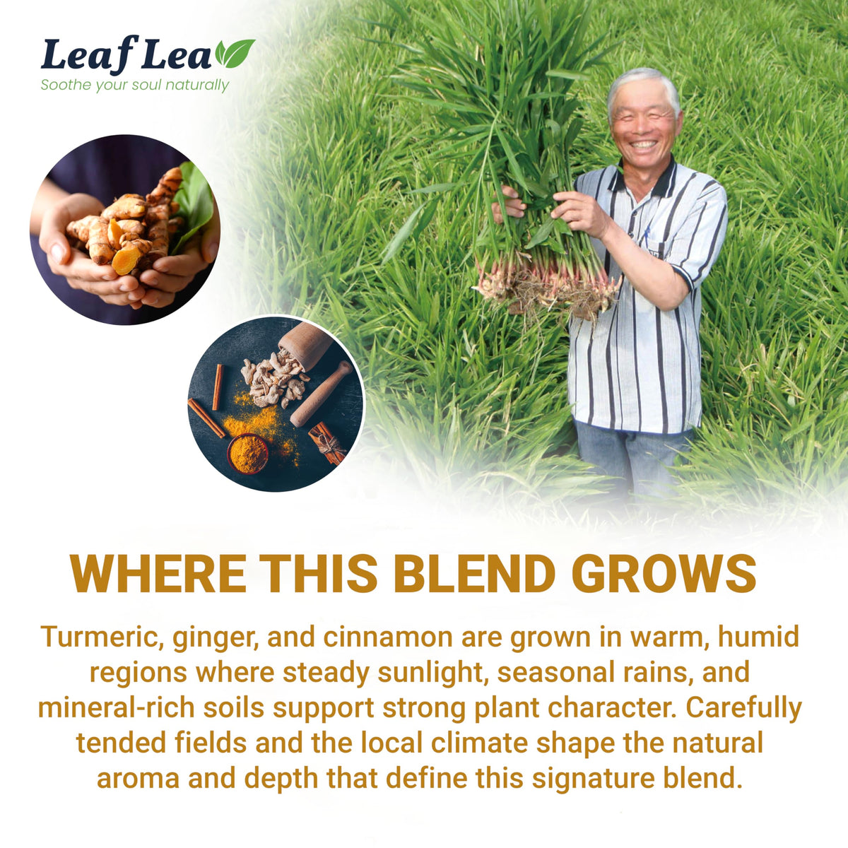 LeafLea Turmeric Tea with Ginger & Cinnamon | 80 Bags, Natural Herbal, Caffeine-Free
