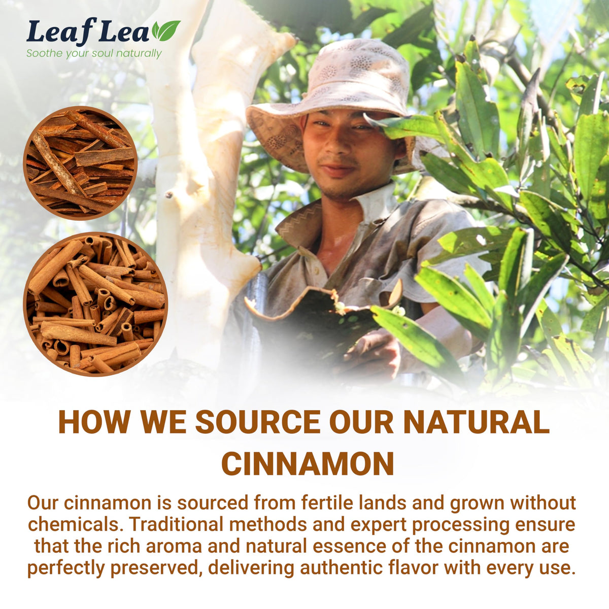 LeafLea Cinnamon Tea Bags - 80 Count (2-Pack) 100% Natural Ground Cinnamon, Caffeine-Free & Vegan