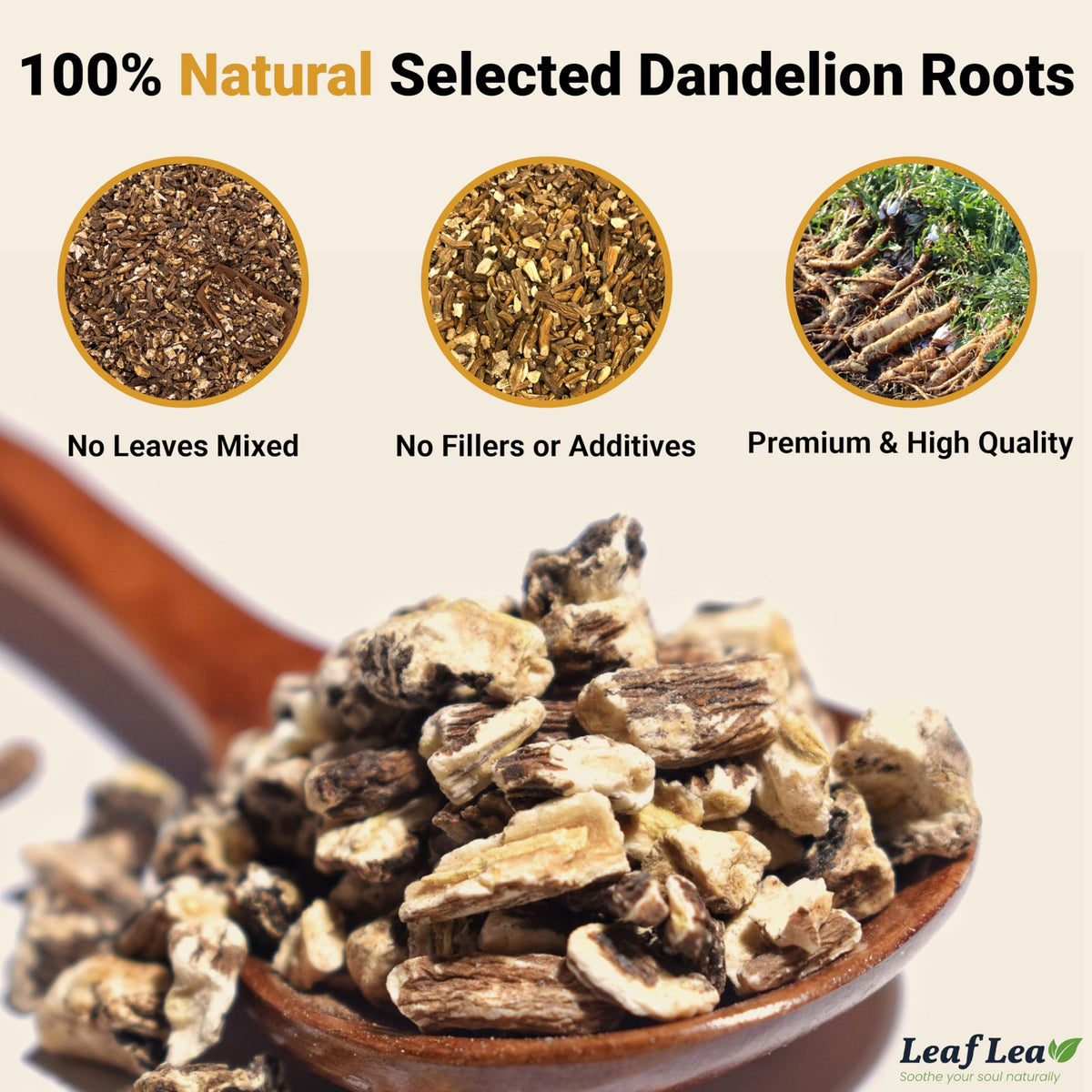 LeafLea 80 Dandelion Tea Bags – All Natural Dandelion Root Tea, Caffeine-Free, 2-Pack