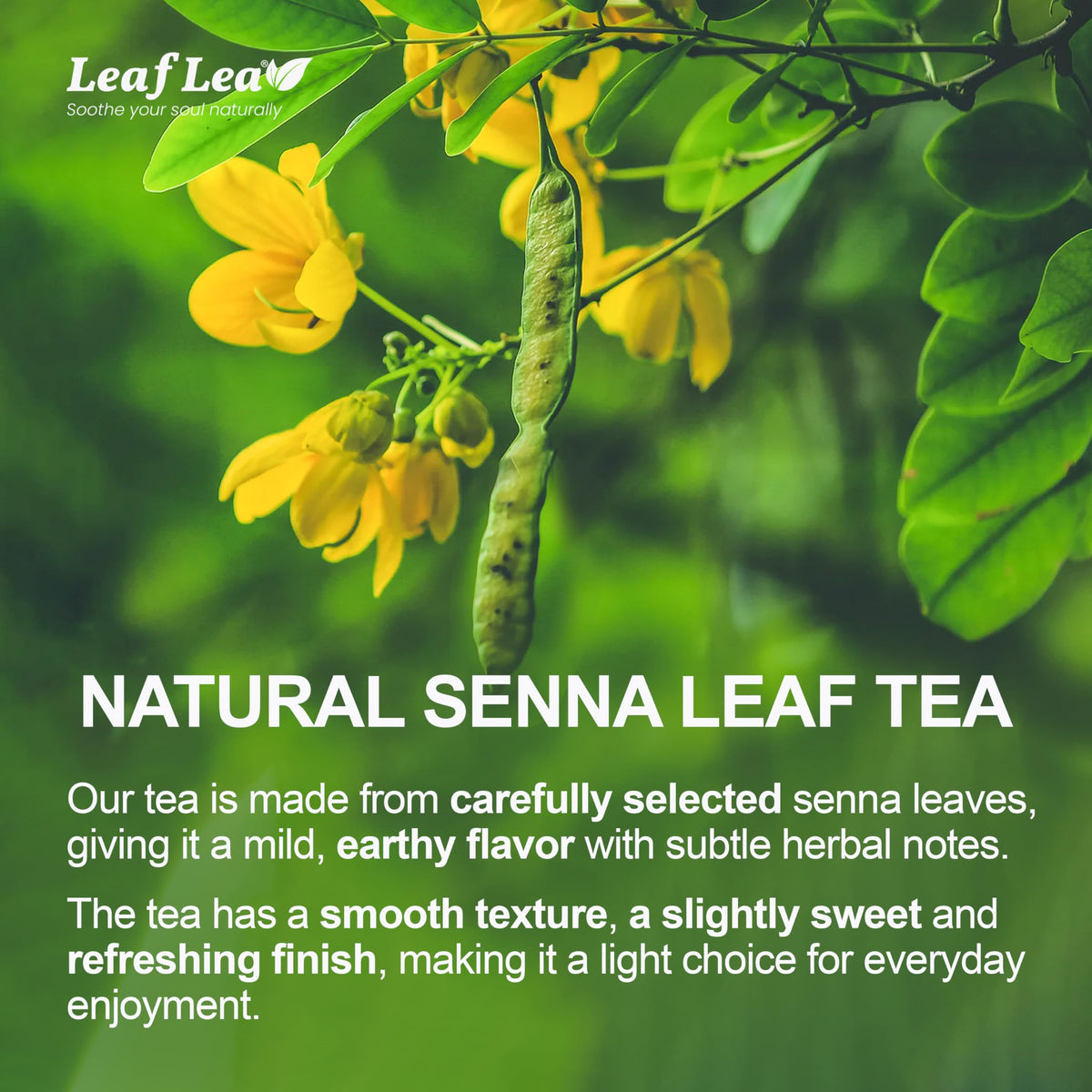 LeafLea 80 Senna Leaf Tea Bags – Natural Herbal Tea for Gentle Digestive Support