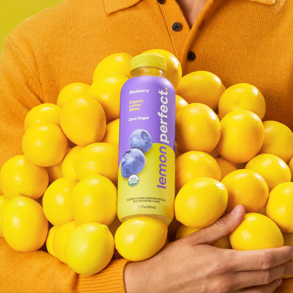 Lemon Perfect Blueberry Hydration Water – Zero Sugar, Organic, 15.2oz Bottle (12-Pack)