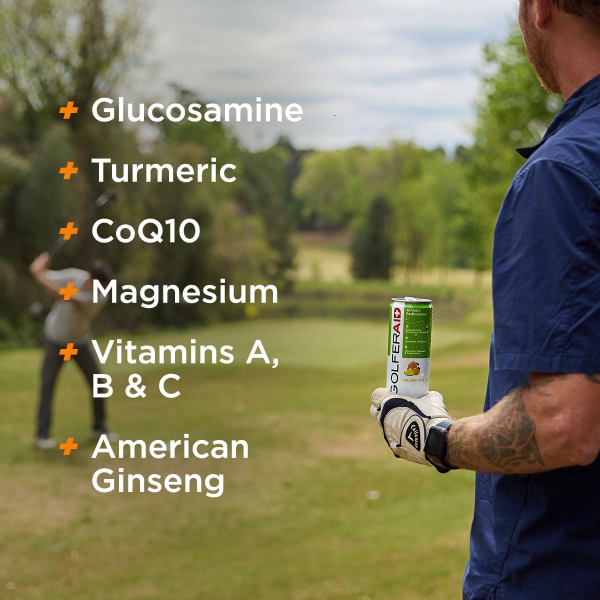 GOLFERAID Performance Blend by LIFEAID — No Caffeine, 12-Can Pack, 40 Calories