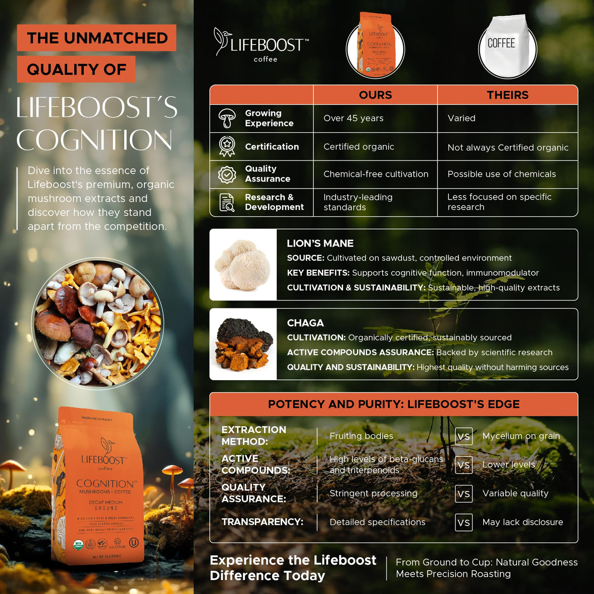 Lifeboost Cognition Decaf Mushroom Coffee – Low Acid, Lion’s Mane & Chaga (12 oz Ground)
