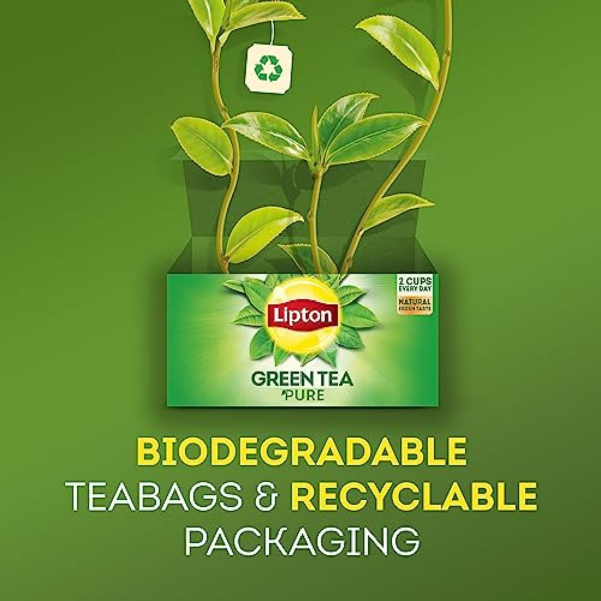 Lipton Peach Green Tea Bags – Unsweetened, Peach Flavor, 120 Bags (6 x 20)
