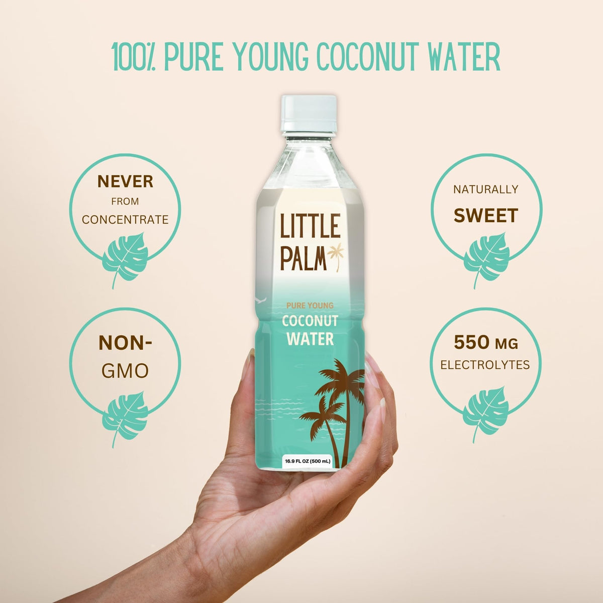 Little Palm Pure Coconut Water – From Young Coconuts, No Sugar Added, Natural Hydration, Electrolytes, 16.9 fl oz (12-Pack)