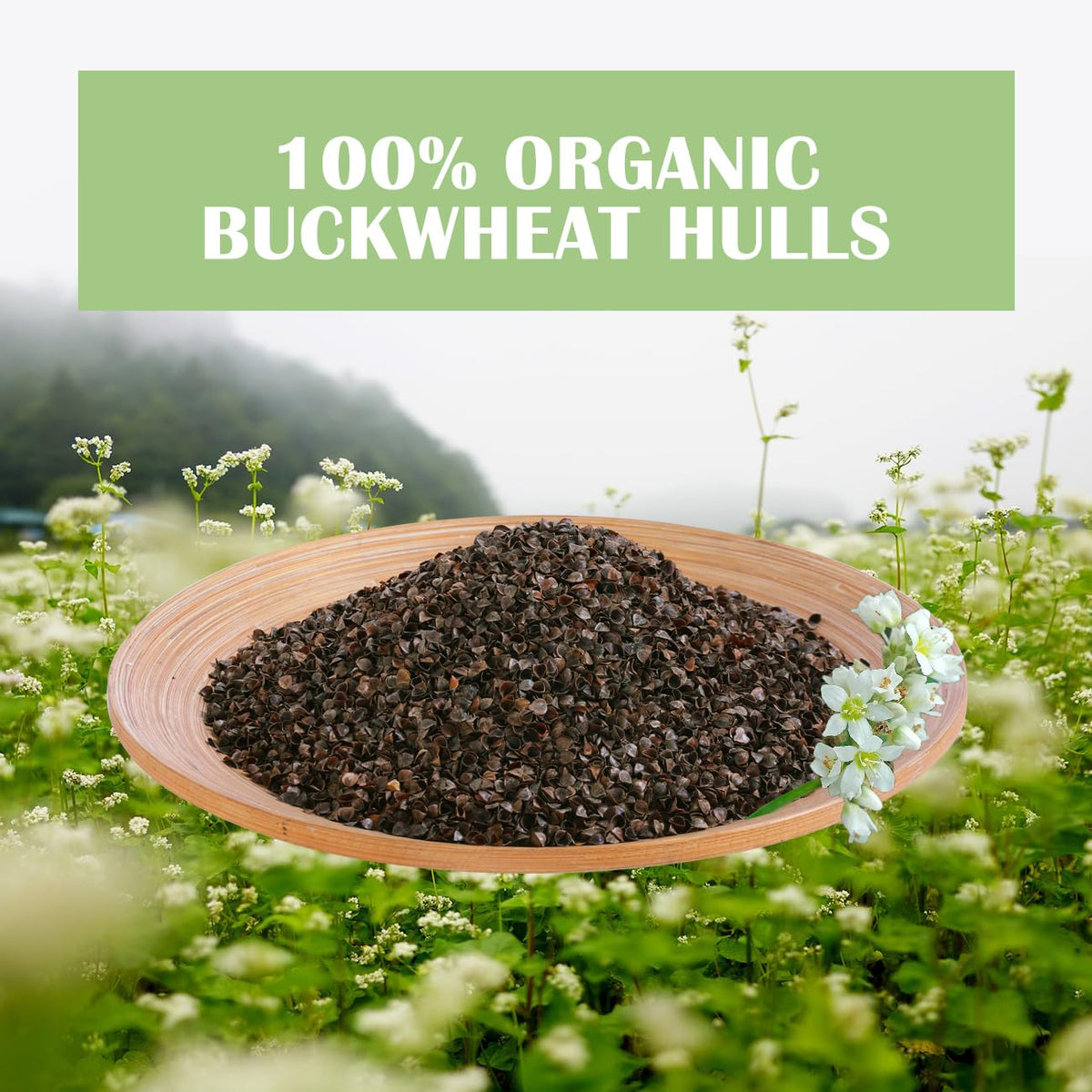 LOFE Common Buckwheat Hulls – 6 LBS Pillow Fillings, 100% Organic Buckwheat Hulls