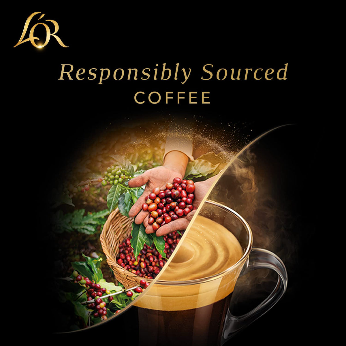 L'OR Espresso Capsules Ristretto, 50 Count – Compatible with L'OR BARISTA & Nespresso Original