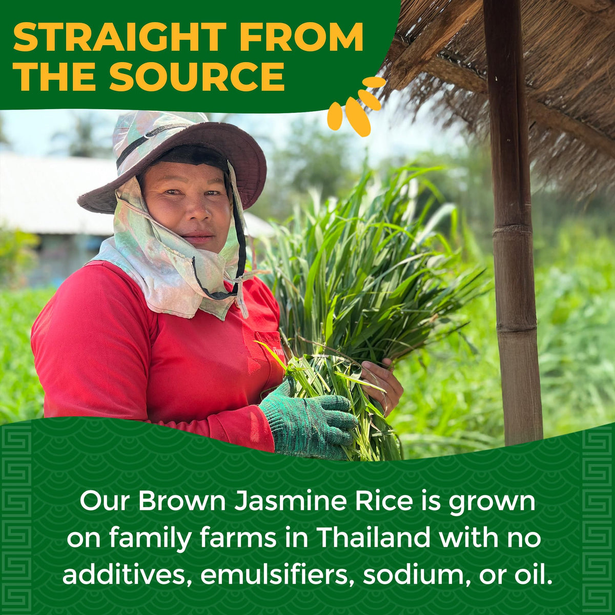 Lotus Foods Organic Brown Jasmine Rice Heat & Eat Pouches – Gluten Free, USDA Organic (Pack of 6)