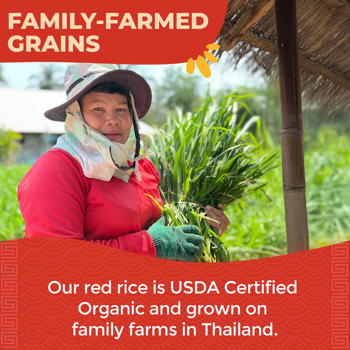 Lotus Foods Organic Red Rice - Gluten-Free Whole Grain, Non-GMO, USDA Organic, 15 oz Bags (Pack of 6)