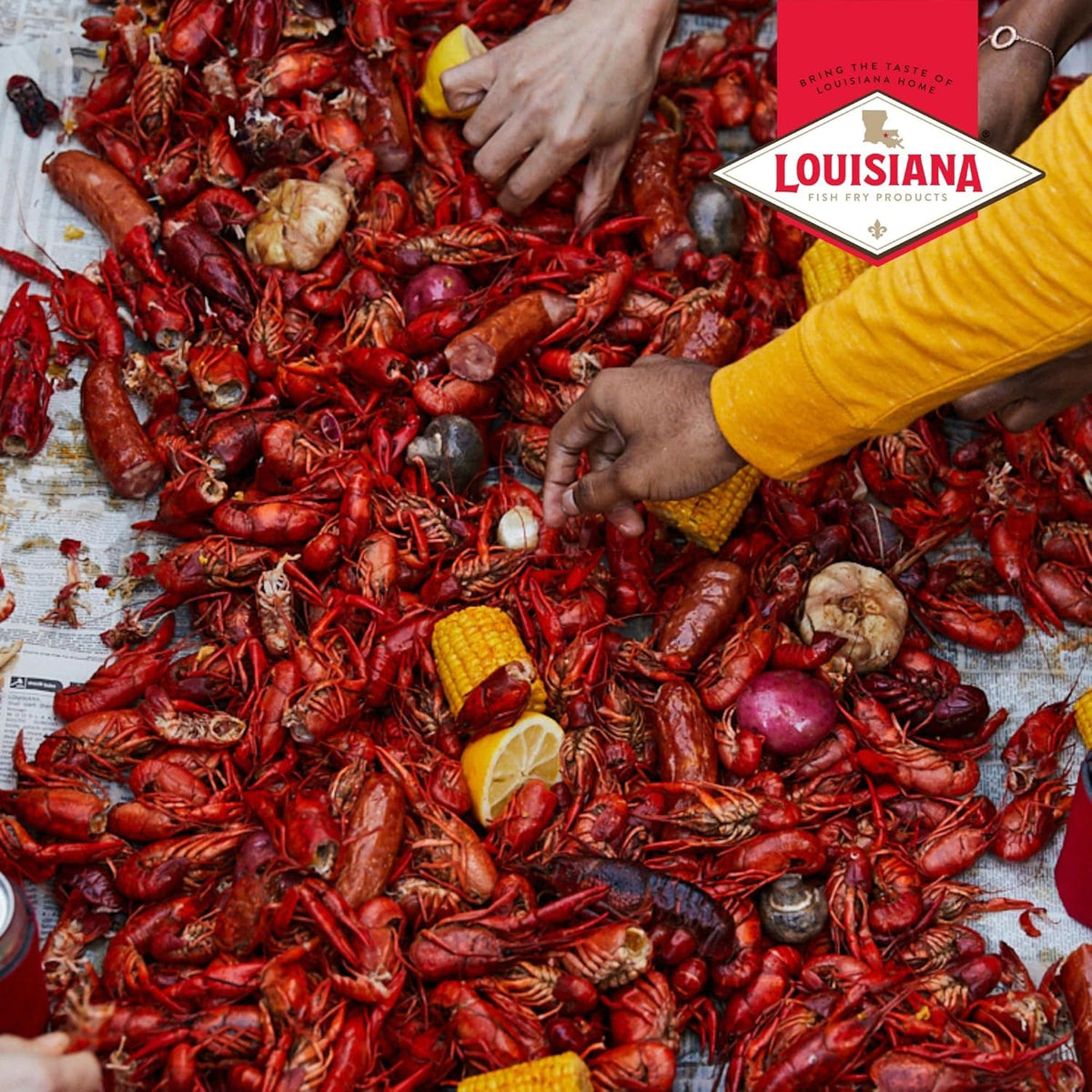 Louisiana Fish Fry Products Crawfish, Shrimp & Crab Boil Seasoning - Spicy Cajun Seafood Powder, Low-Salt, 4.5 lb per bag (Pack of 2)