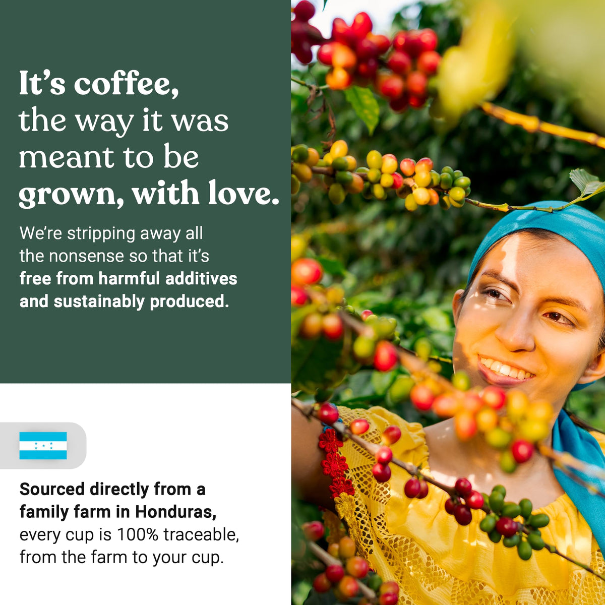 Love Grown Plastic-Free Coffee Pods – 100% Arabica, Compostable, Keurig Compatible (Box of 15)