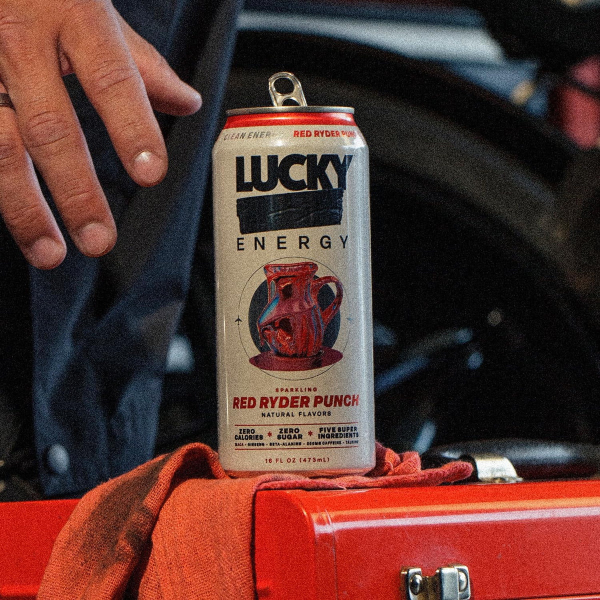 Lucky Energy Sugar-Free 16oz – 10-Can Variety Pack