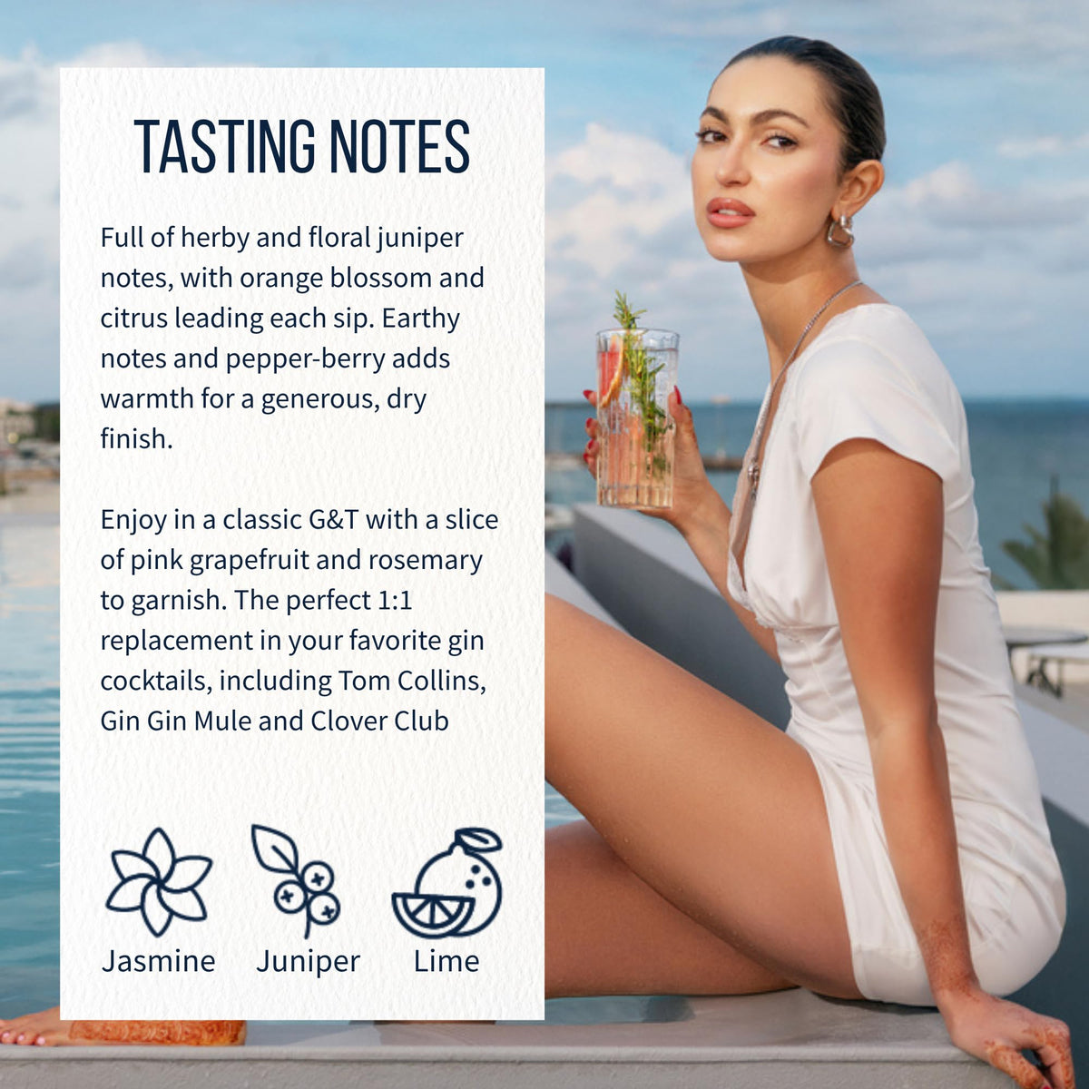 Lyre's Gin Alternative — Award-Winning Alcohol-Free London Dry Gin Substitute (23.7 oz)