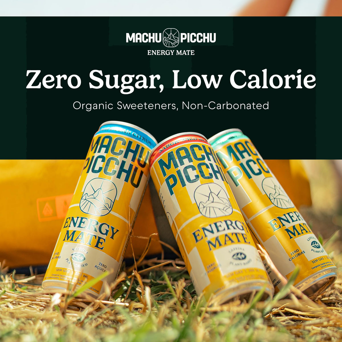 MACHU PICCHU 12-Pack Zero Sugar Yerba Mate Energy Drink – 120mg Organic Caffeine, Non-Carbonated, 12oz