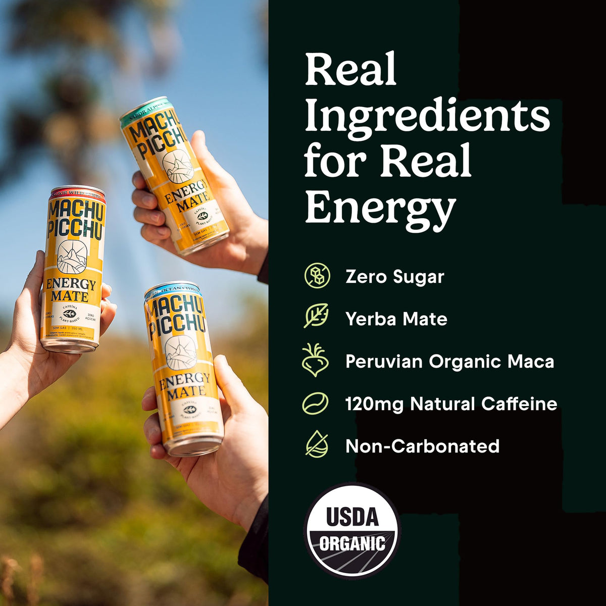 MACHU PICCHU 12-Pack Zero Sugar Yerba Mate Energy Drink – 120mg Organic Caffeine, Non-Carbonated, 12oz