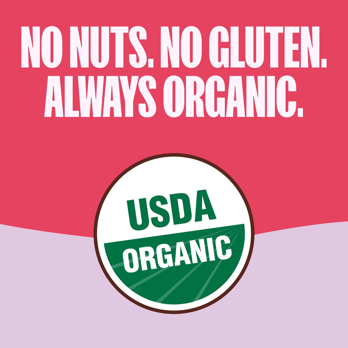 MadeGood Granola Bites Chocolate Chip & Strawberry Variety Pack – 28-Count, Gluten Free & Organic