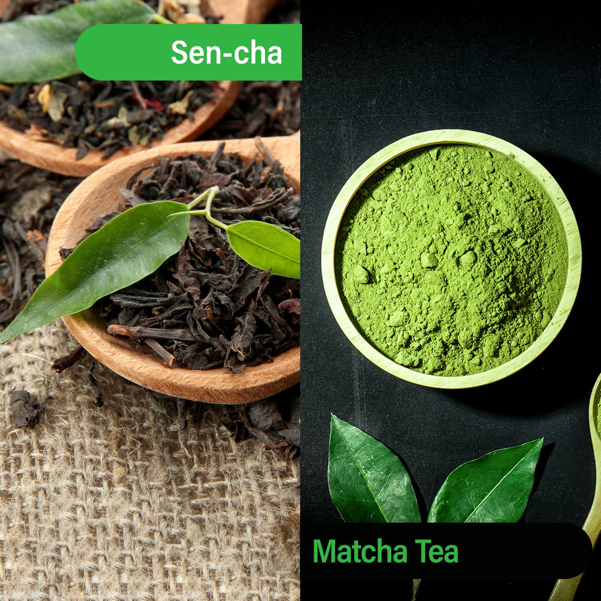 MAEDA-EN Sen-cha with Matcha Tea Bags – Japanese Green Tea, 100 Count