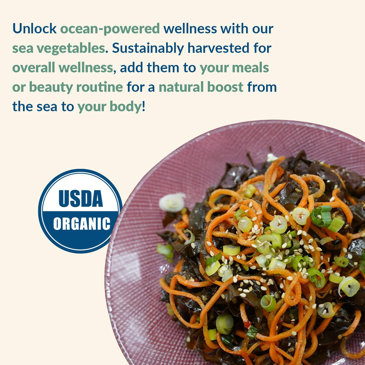 Maine Coast Sea Vegetables Organic Dulse Flakes | Seaweed Snacks Rich in Iodine & Minerals | 4 oz
