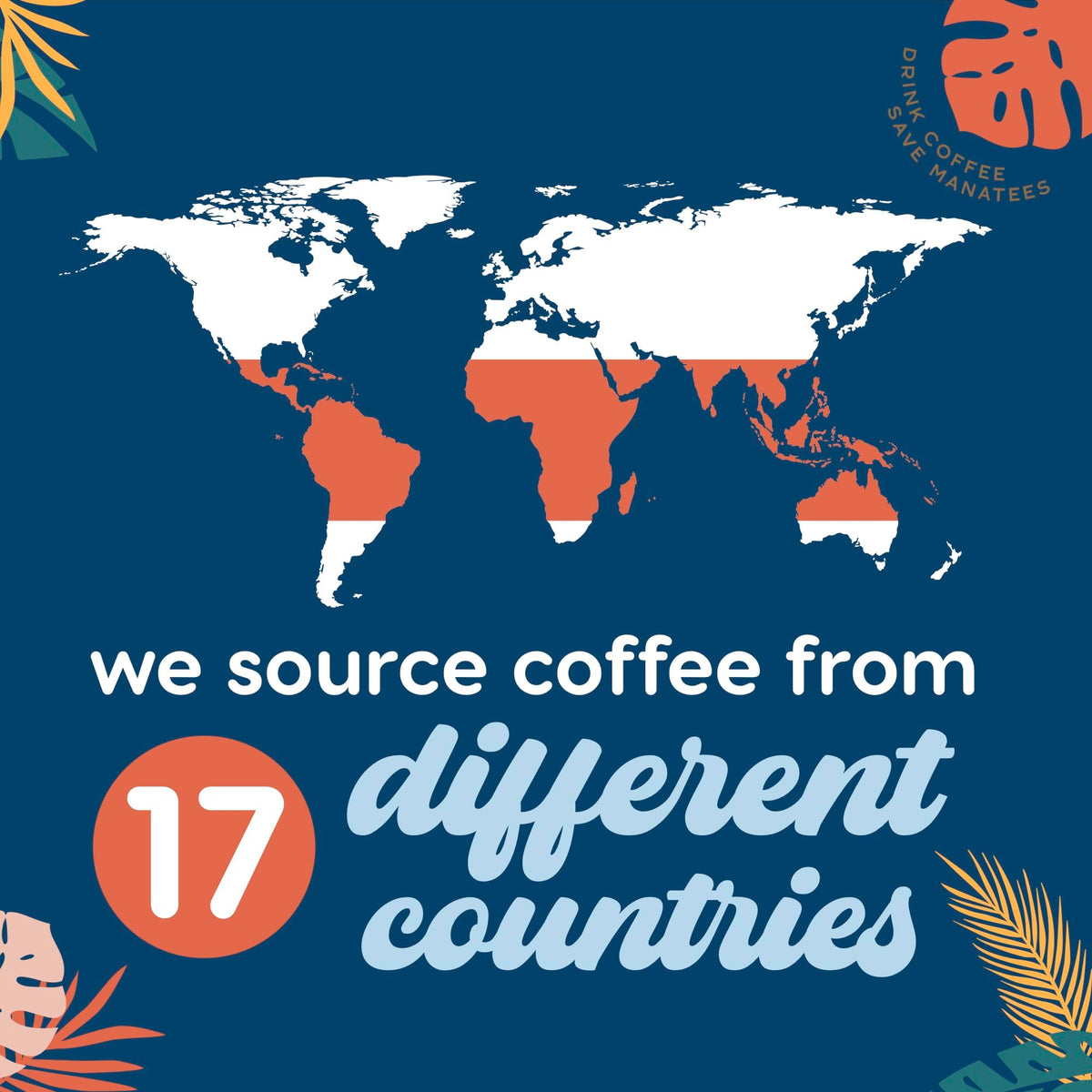 Manatee Gourmet Coffee Caribbean Delight – Whole Bean, Medium Roast, 2 lb Bag (32 oz)