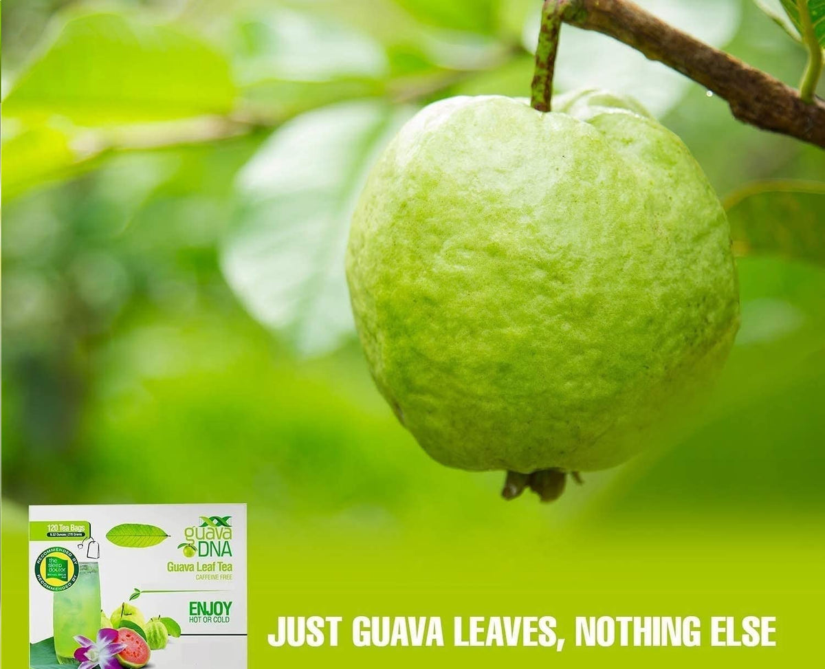 MATCHA DNA Guava Leaf Tea – 120 Individually Wrapped Bags, 100% Pure Guava Leaves