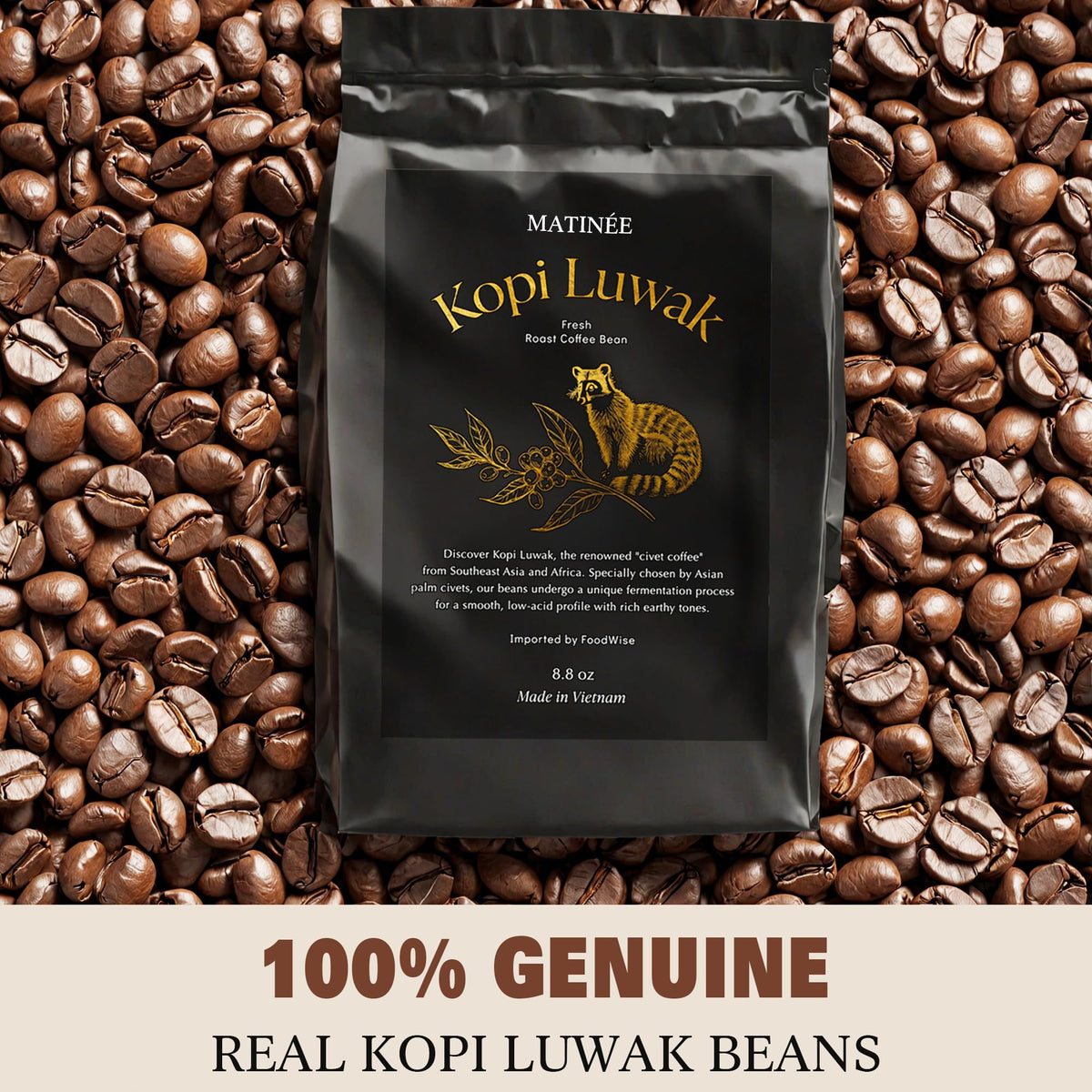 MATINÉE Wild Kopi Luwak Coffee Beans – Medium Roast, Sustainably Sourced from Vietnam – 8.8oz / 250g