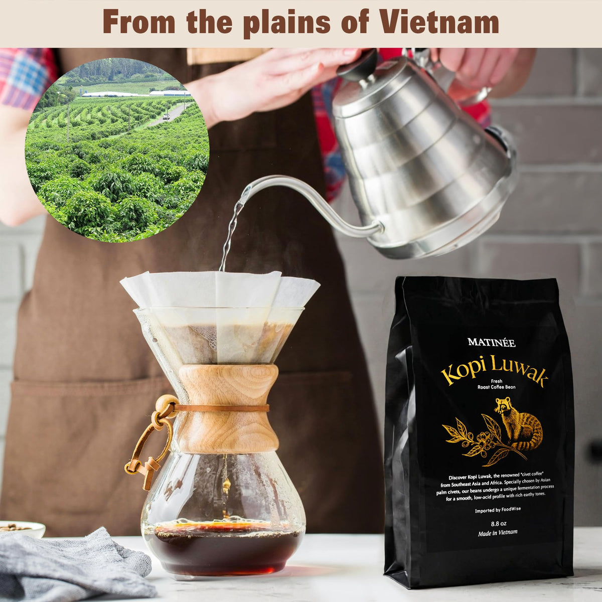 MATINÉE Wild Kopi Luwak Coffee Beans – Medium Roast, Sustainably Sourced from Vietnam – 8.8oz / 250g