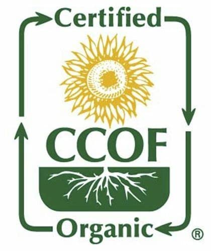 McCabe Organic Sweet Rice – Gluten Free, GMO-Free, USDA & CCOF Certified, 3 lb