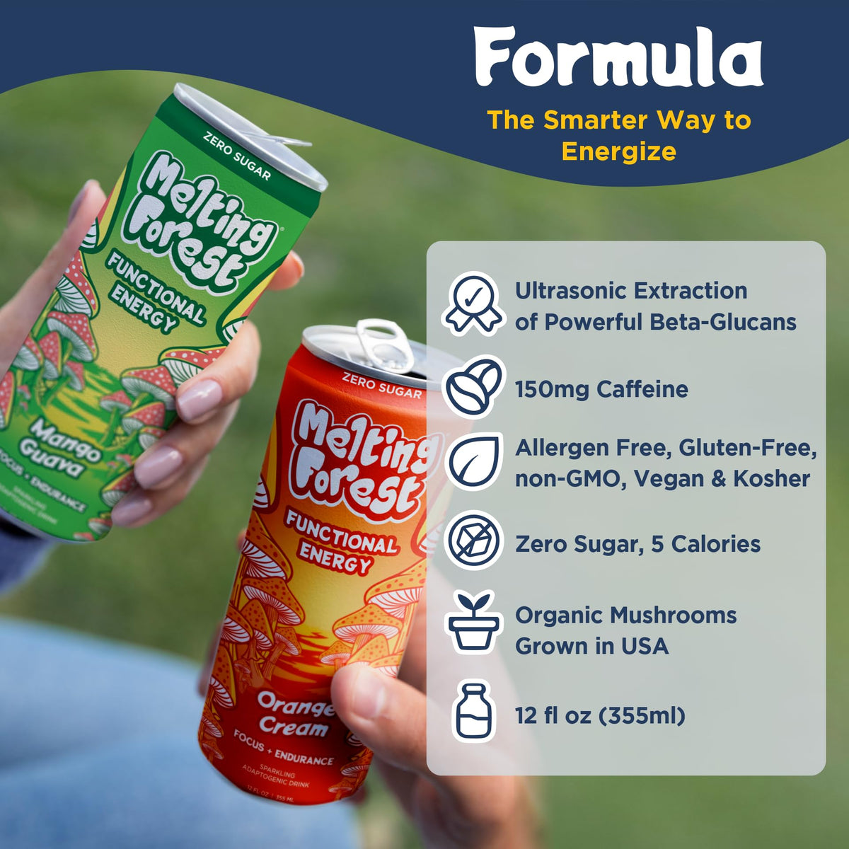 Melting Forest Functional Mushroom Energy Drink - 12 Pack Variety with Cordyceps & Lion's Mane
